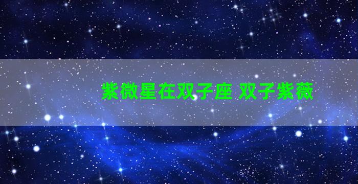 紫微星在双子座 双子紫薇
